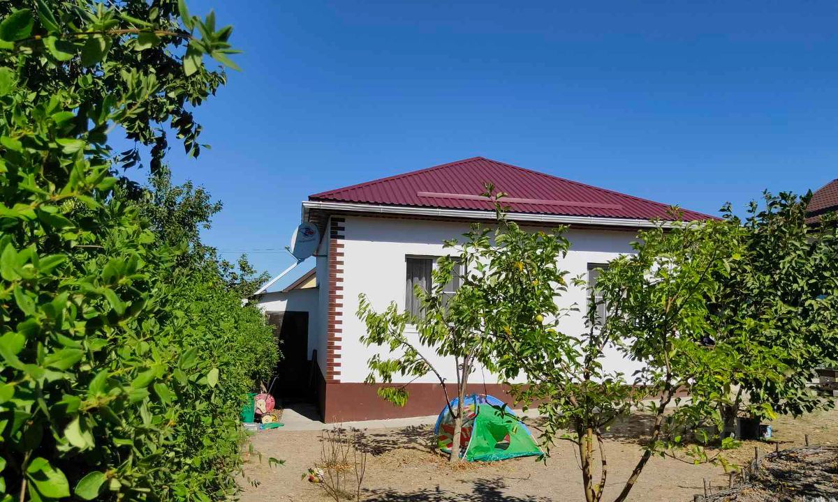 Таинственный лес,сот черемушки,обзор сот колос,Анапа смотреть онлайн