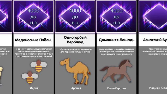 Сравнение Кого Первым Приручил Человек