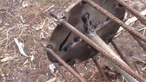 минитрактор мототрактор Зубр 12Е лс опорный планировочный ролик каток к фрезе 2016.10.23