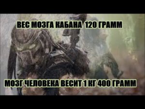 СТРЕЛЯЕМ НОЧЬЮ БЕЗ ОПТИКИ