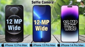 iPhone 12 Pro Max vs. iPhone 13 Pro Max vs. iPhone 14 Pro Max Review.