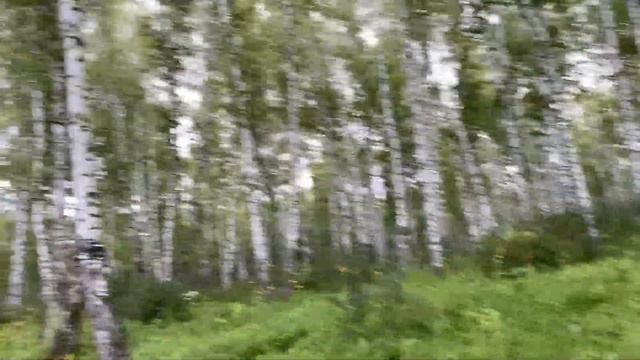 10 способов изменить реальность