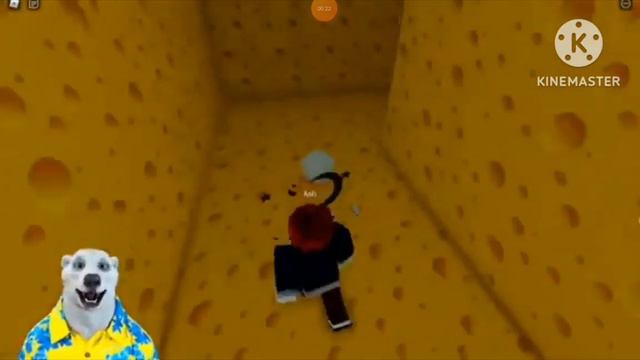 @kibersity9565 kiberSity не дивлячись привет всем твоим родным делать дальше мы должны смотреть онлайн