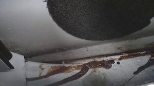 Логан 2, вода в двери.