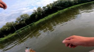 КАК ВЫГЛЯДИТ СУДАК ЩУКА В ЭХОЛОТЕ, ЛОВЛЯ СУДАКА НА СПИННИНГ ЛЕТОМ 2023