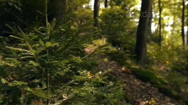 relaxdaily N092  Красивая расслабляющая инструментальная музыка  фортепиано медленная легкая