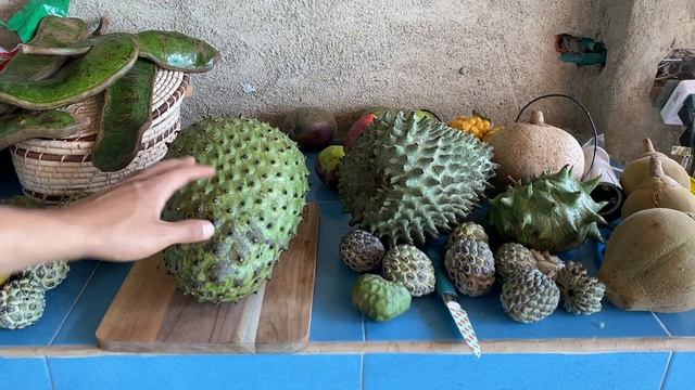 Comparing Annonas - Sugar apple, Cherimoya, Soursop | Similarities & Differences between the Annona