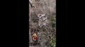 Высокоскоростной Интернет для бойцов Армии России в наличии в Москве Старлинк