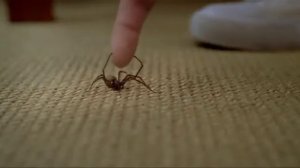 Реклама. Mentos Spider Commercial. Русская версия