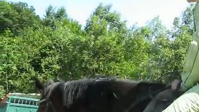 Ира наездница