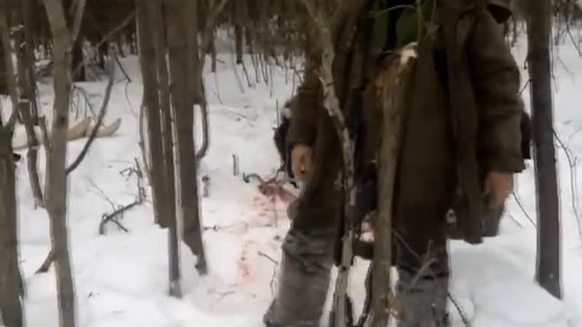 РЕЛ - Охота на медведя смотреть онлайн