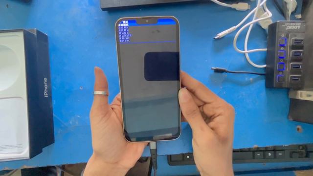 iPhone 13 Pro Max Copy Hard Reset Remove/Pin/Password