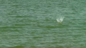 Видеокарта уловистых мест России