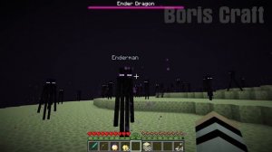 DON'T BE FRIENDS WITH ENDERMAN IN MINECRAFT BY BORIS CRAFT