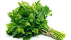 Почему вредна петрушка?