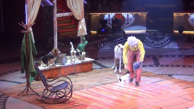 Дрессированные собаки в цирке Никулина /Trained dogs in the Nikulin Circus .Podenko in the circus