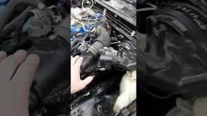 Swap vq35de Elgrand for Terrano D21