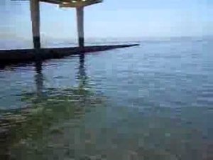 adlerkurort-beach2010.FLV