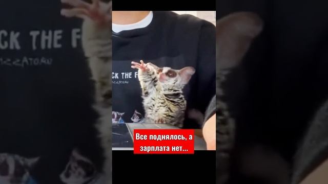 ? Все поднялось, а зарплаты нет