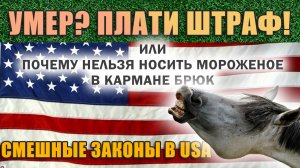 умер в Америке? плОти штраф!