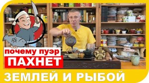 ПОЧЕМУ ПУЭР ПАХНЕТ РЫБОЙ ИЛИ ЗЕМЛЕЙ.