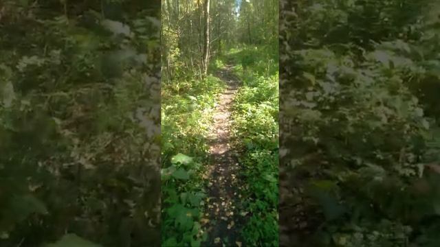 Про Ивачевское озеро. смотреть онлайн