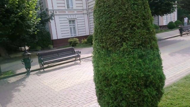 Кисловодск. Курортный бульвар и мертвая ? лиса...27.08.2022 г.