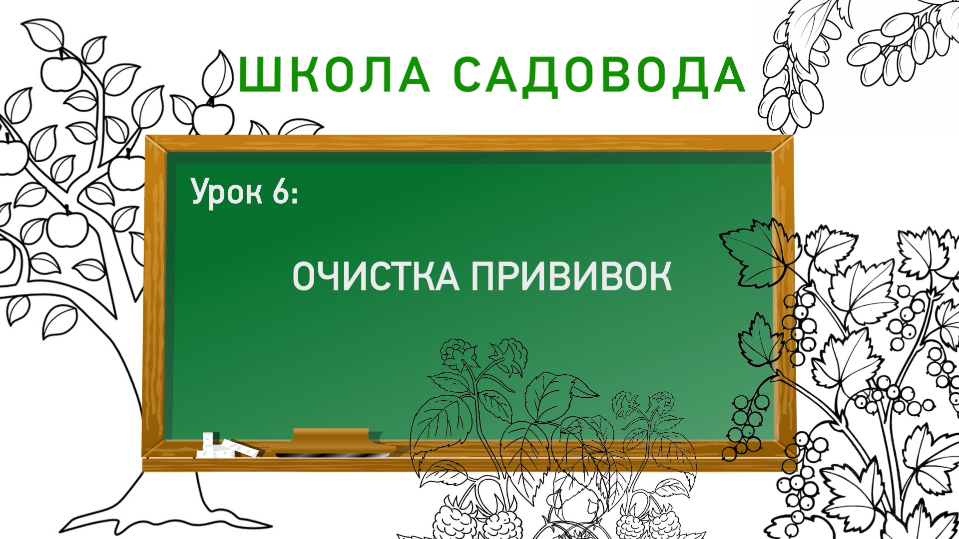 Уход за прививкой. Школа садовода. Урок 6