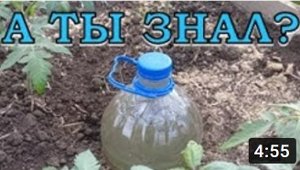 ПРИКОРНЕВОЙ КАПЕЛЬНЫЙ ПОЛИВ своими руками???