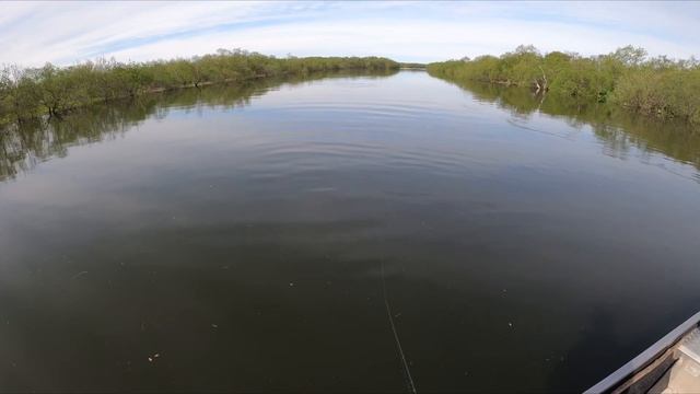 Чавыча 11.06.2020 год смотреть онлайн
