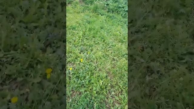Село Чурачики.Обзор нескольких улиц.часть 1
