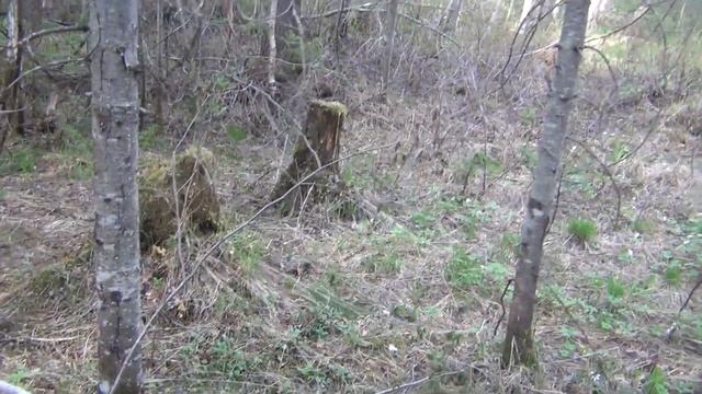 Ловля хариуса в тайге 5 й день из 10 дней рыбалка охота тайга лес природа поход выживание в лесу смотреть онлайн