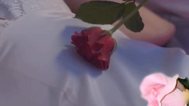 ТЫ ВО МНЕ КАК ЯД !!! исп А лександр Вестов смотреть онлайн