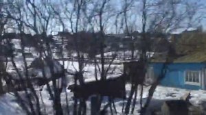 город Оха, Сахалинская область. Oha Sakhaline