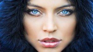 Siberian Heat- Magic Blue Eyes