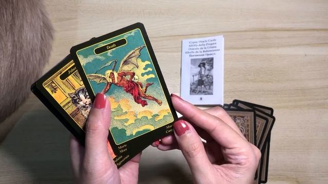 GYPSY ORACLE CARDS - Deck review and flip-through! This is like a gym for your intuition! ?️??