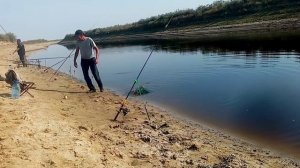 рыбалка на донки, БЕШЕНЫЙ КЛЕВ САЗАНА, рыбалка в Иргизе