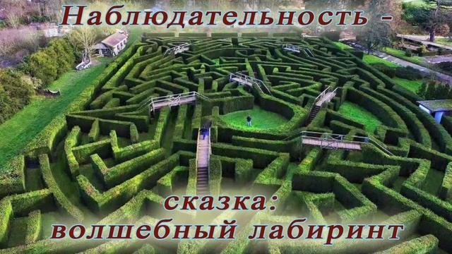 Наблюдательность - сказка: волшебный лабиринт смотреть онлайн