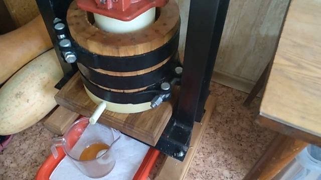 Ароматное подсолнечное масло. Холодный отжим на дубовом прессе