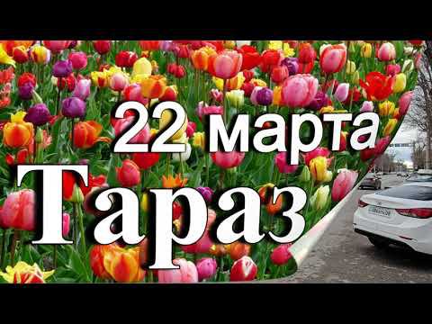 Тараз / Taraz - 22 марта #тараз #казахстан