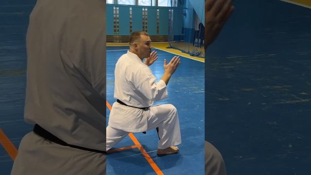 Кёкусинкай Кумитэ / Сихан Алексей Горохов / Удары ногами и комбинирование (1)