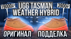 ? Разрезали UGG TASMAN WEATHER HYBRID! Как отличить оригинал от подделки?