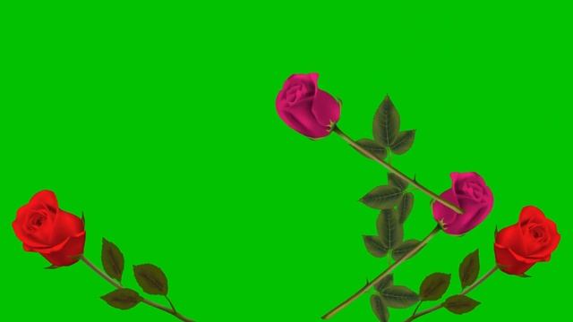 Розы и сердечки на зеленом фоне (хромакей) ко дню святого Валентина смотреть онлайн