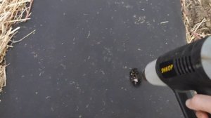 как делать отверстия на агроволокне для клубники.