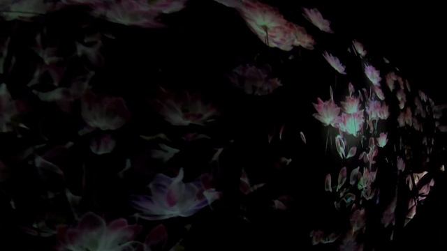 TeamLab Borderless In Odaiba TOKYO Full GUIDE