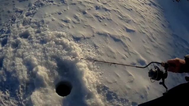 Красногорск.  Рыбалка на форель.