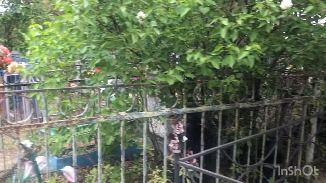 УДАЧНЫЕ ПОКУПКИ . Съездили на кладбище. Могилы ребят  с СВО 🙏14-05-2024