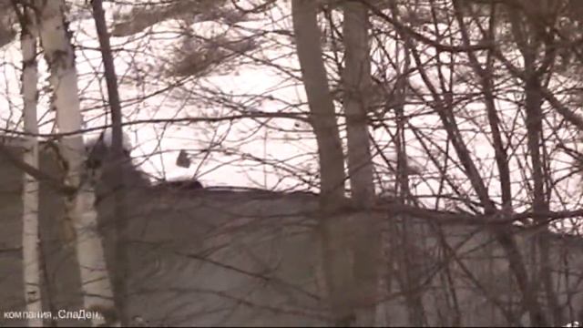 Ежегодные Областные испытания подсадных уток-,,Нижегородская Подсадная,, смотреть онлайн