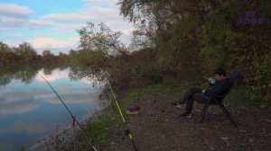 РЫБАЛКА НА РЕКЕ КУБАНЬ / ЛОВЛЯ КРУПНОГО КАРАСЯ ДО 1 КГ.