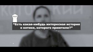 Как открыть Котокафе и спасать котиков! 4 года Котокафе! 4 года любви к кошкам